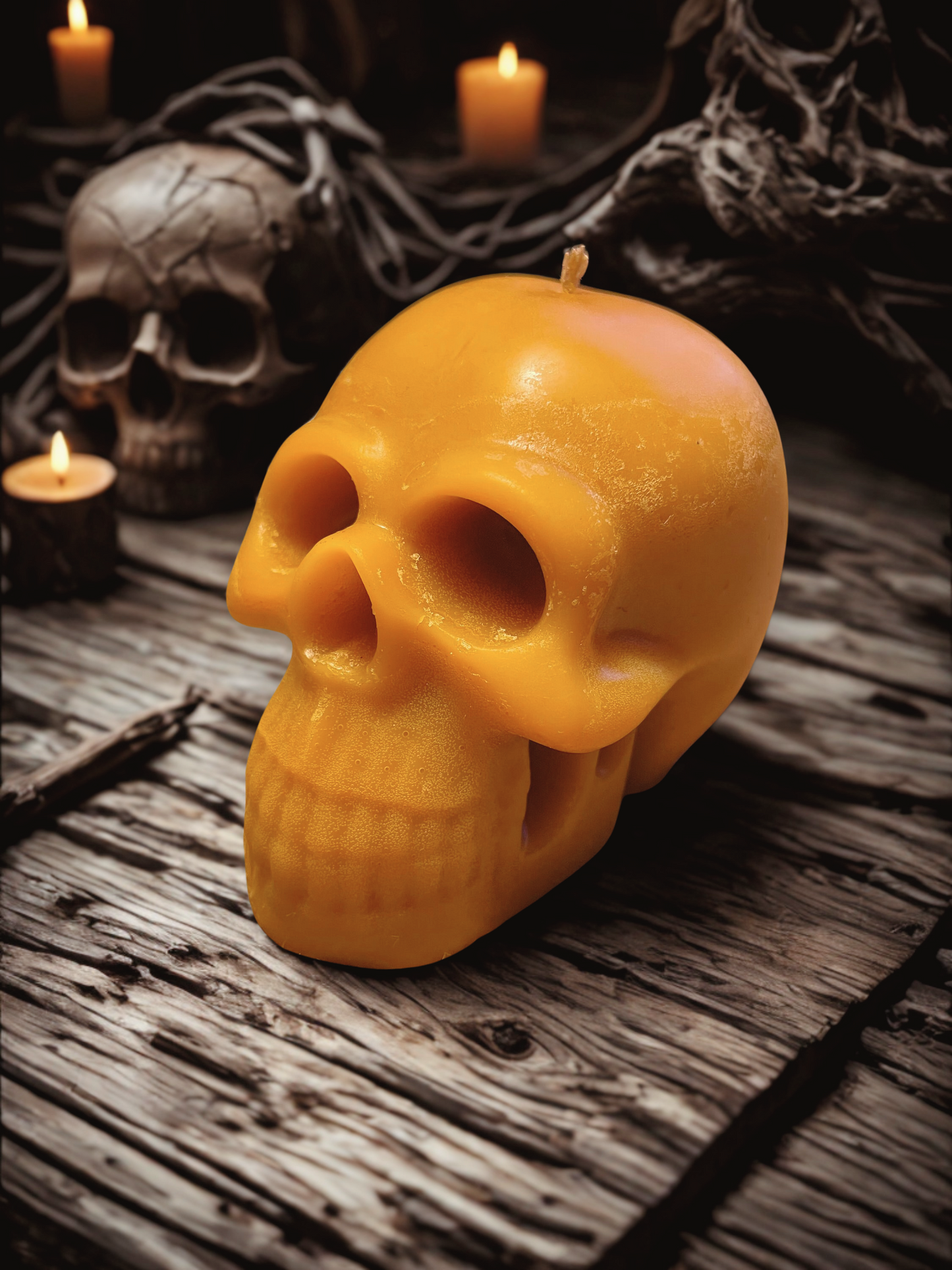 Skull Candle