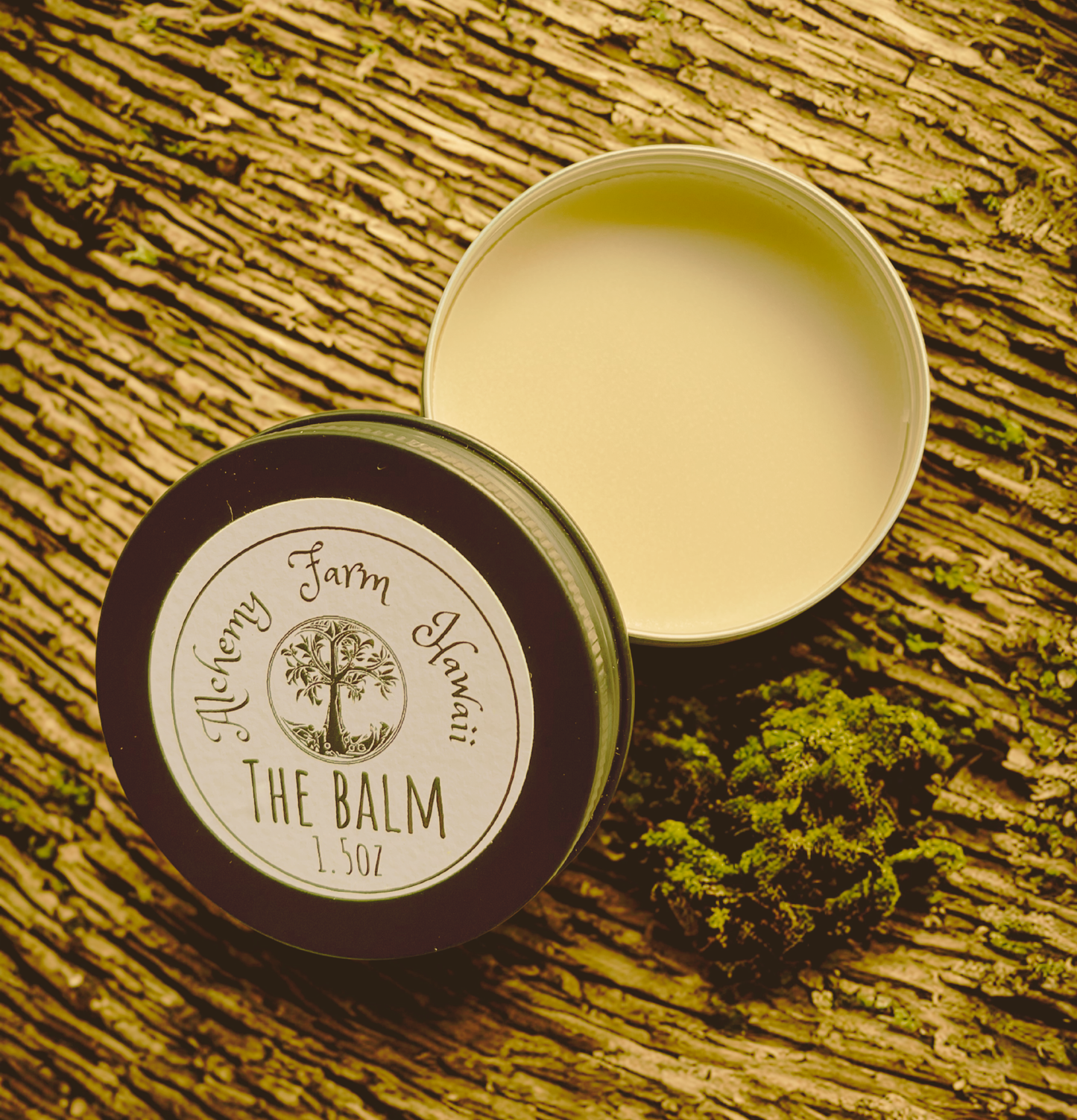 Balm Bundle