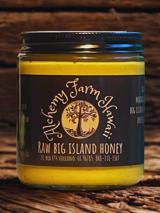 Raw Hawaiian Whipped Turmeric Ginger Black Pepper Honey 11.5oz